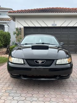 Full Wrapped Gloss Black 