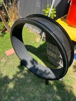 Cat exercise wheel.