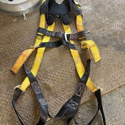 Guardian Harness 