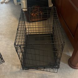 Dog Cage