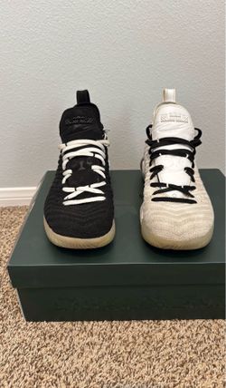 LeBron XVI- Equality- Men’s Size 9.5