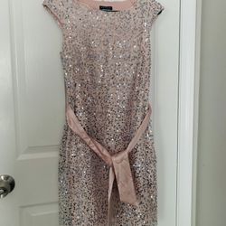 Size Small Baby Pink Sequence Dress 