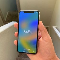 iPhone X