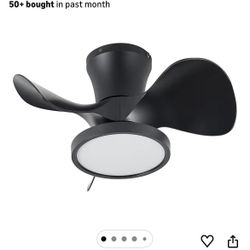 new 22” ceiling fan with light