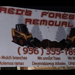land clearing and mulching work is done 