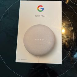 Google Nest Mini (2)
