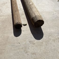 Tree Stakes