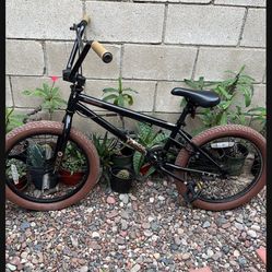 Bicicleta Muy Bonita 