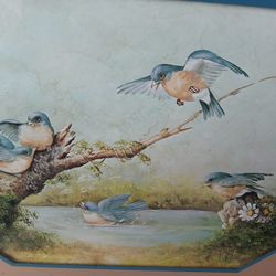 WINTAGE AFTERⁿ A SUMMER RAIN BLUE BIRDS SHOWERING