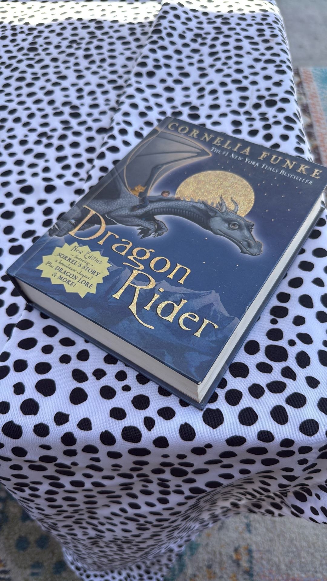 dragon rider book