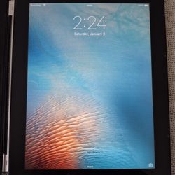 Apple I-Pad