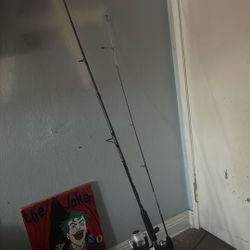 Fishing Poles Only Used A Couple Times 