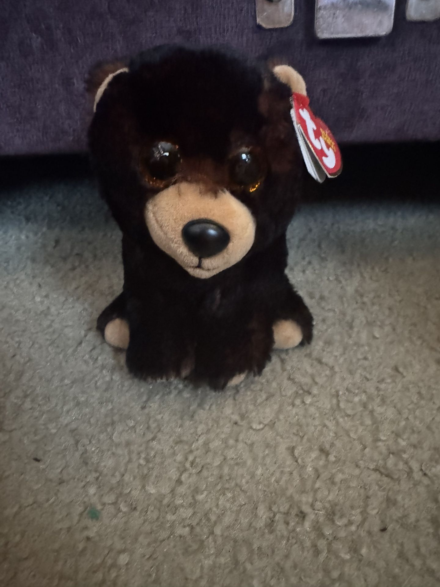 Ty Beanie Baby Kodi 2021 Bear