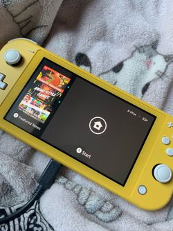 Nintendo switch lite