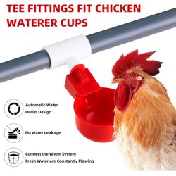Chicken Watered Cup 