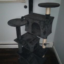 Cat Stand 