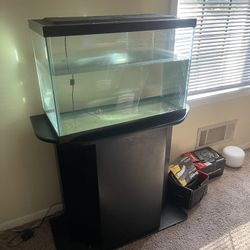 Fish Tank 20 Gallon With Stand