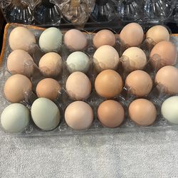 FRESH RANCH EGGS $7 per dozen