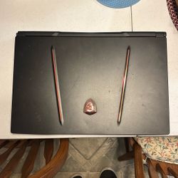 MSI GE75 Raider Gaming Laptop
