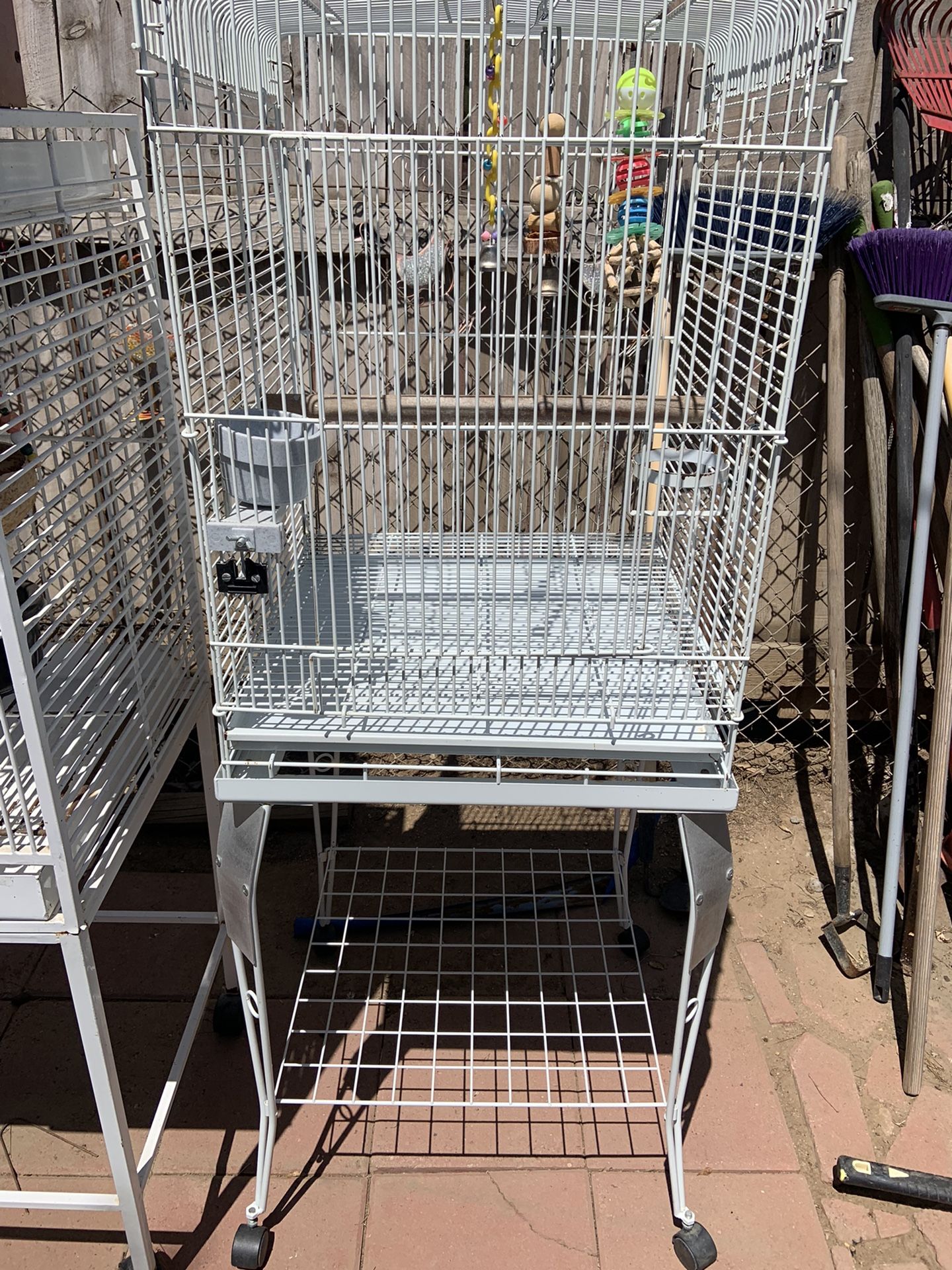 Bird Cage