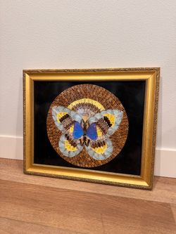 Real Butterfly Moth Wing Taxidermy Artwork Collage Kaleidoscope Vtg Vintage