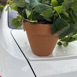 Artificial Flower With The Pot New 