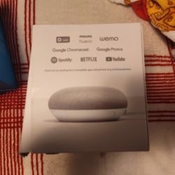 Google Nest Mini