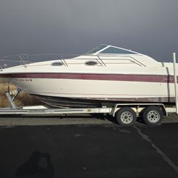 1995 SEARAY SUNDANCER 250