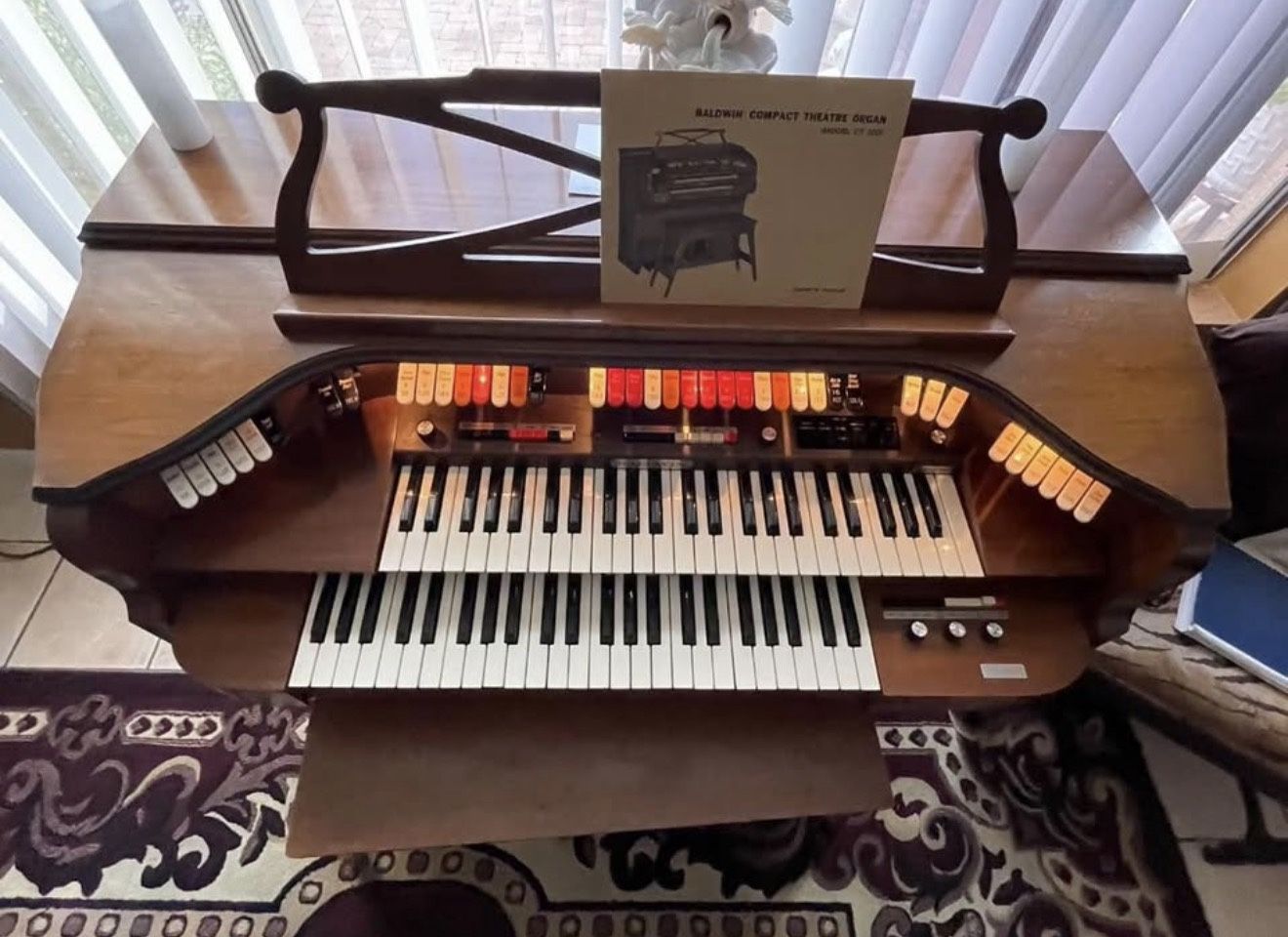 Free Organ Still World. 