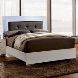 Furniture of America - Clementine Queen Bed Frame in Glossy White ( Bed Frame Only )