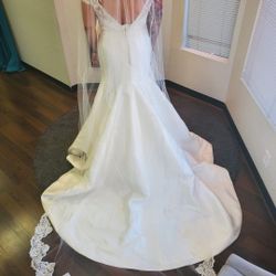 Wedding Dress (New)