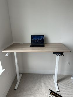 Brand New Electric Standing Desk 55”x28”