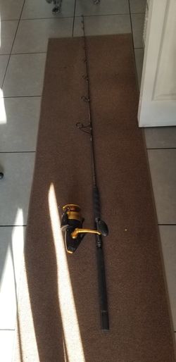 Fishing rod And Reel
