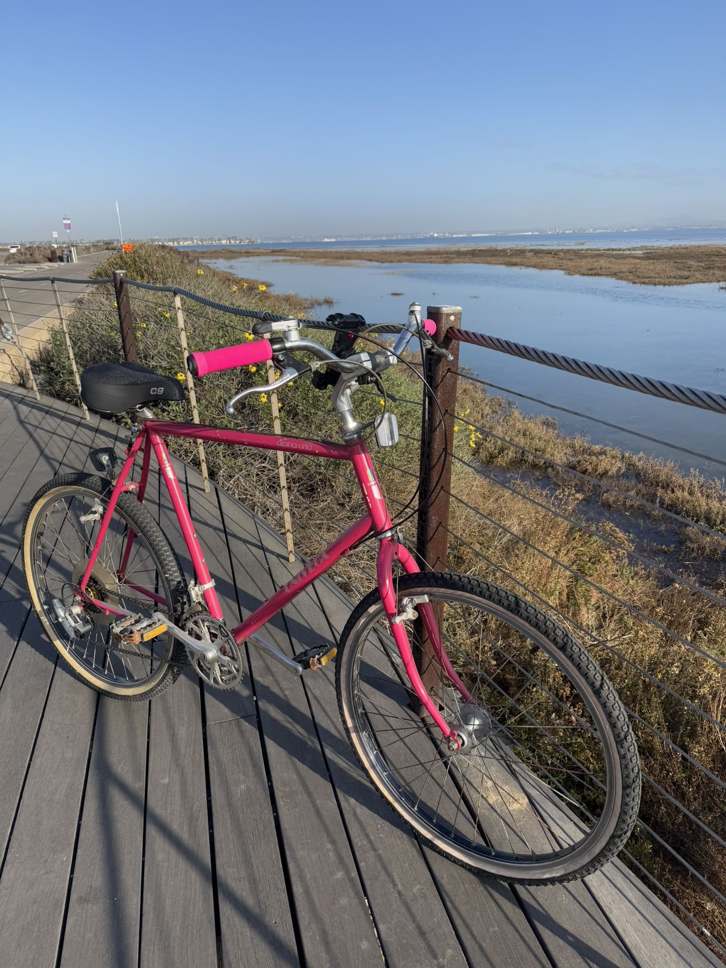 Pink Bicycle