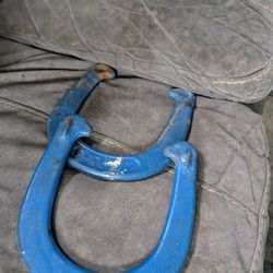Blue horseshoes 