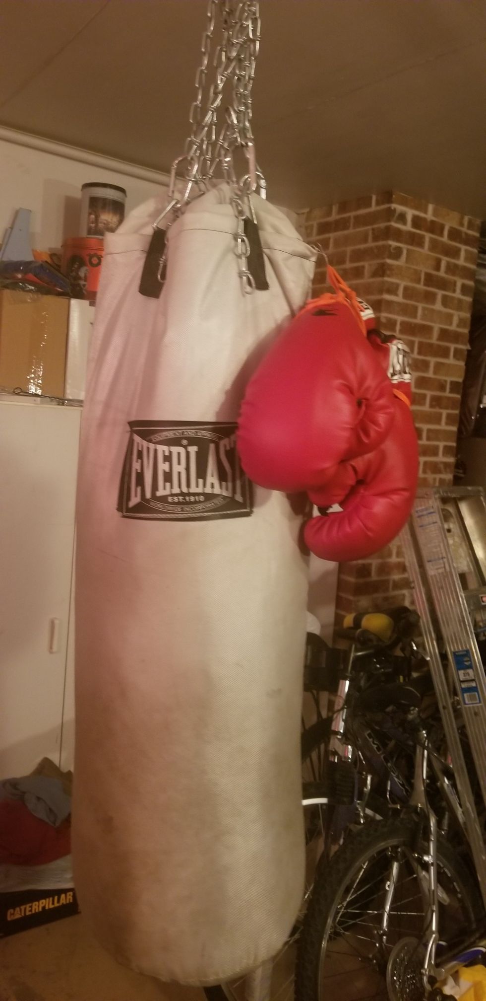 Everlast punching bag with boxing gloves