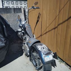2001 Harley Davidson Softail