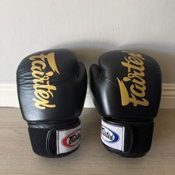 Fairtex BGV19 (16oz) Gloves 
