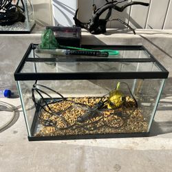 10 Gallon Fish Tank 