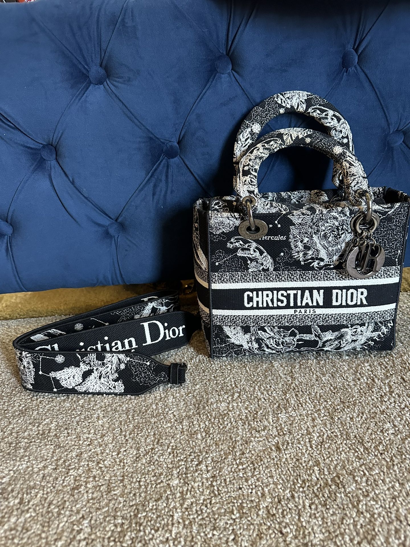 Authentic Christian Dior Lady Dior Astronomy Bag
