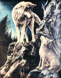 Framed prints of wolves and his clubs