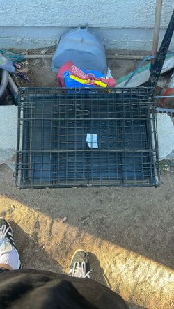 24’ In Dog Crate 