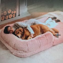 Be Sure Foldable Human Dog Bed