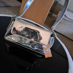 Silver Bag