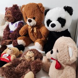 Soft & Cuddly Teddy Bears Lot
