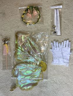 Fairy Outfit and Accessories