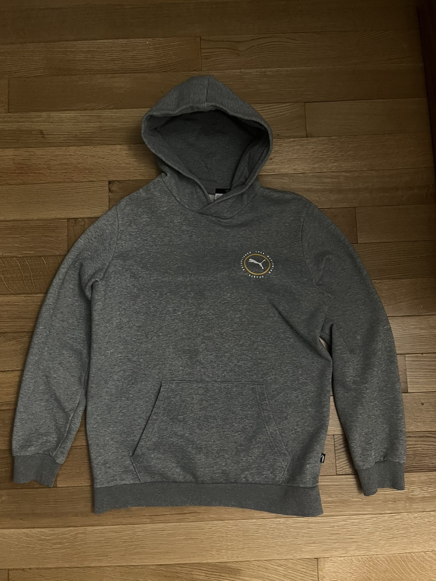 PUMA Men's Worldwide Sports Graphic Fleece Hoodie