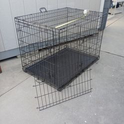 Large dog crate