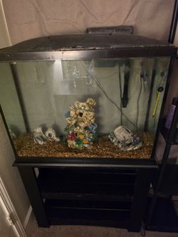 Fish tank 30 gallons