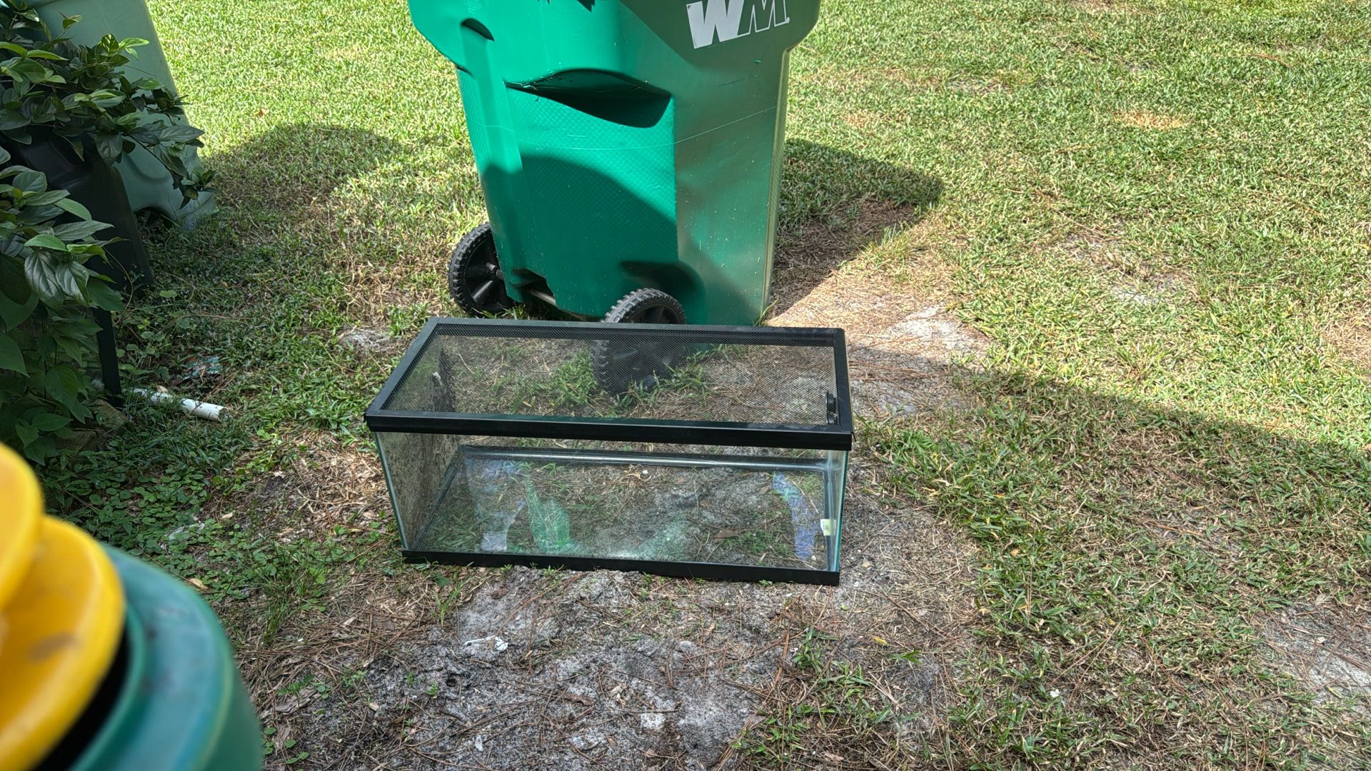 20 Gal Tank With Mesh Cover